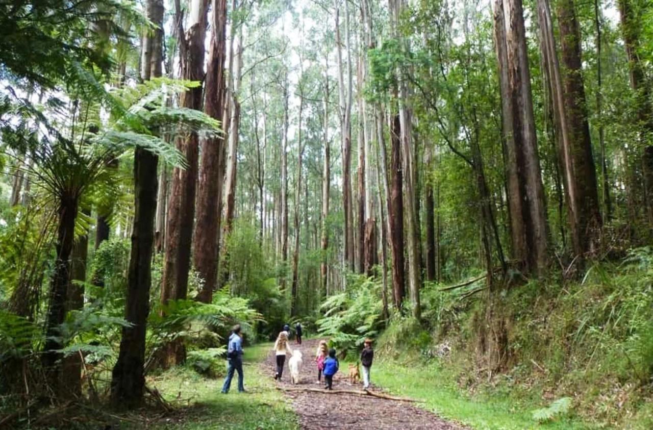 Ferny Hill Retreat, Emerald Victoria Buitenkant foto